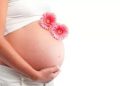 Café com gestantes de Piratuba promove encontros educativos para futuras mamães e papais