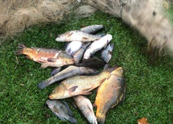 Brigada Militar flagra pesca ilegal em Maximiliano de Almeida