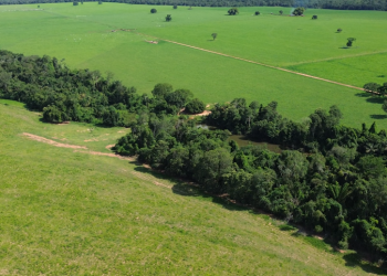 No coração de MT: a Abertura Nacional da Colheita da Soja!