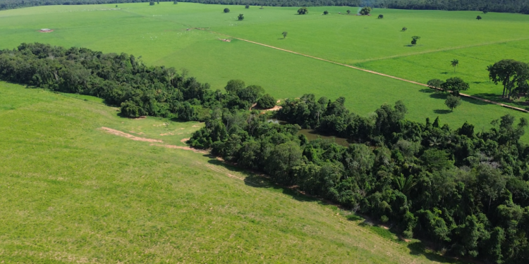No coração de MT: a Abertura Nacional da Colheita da Soja!