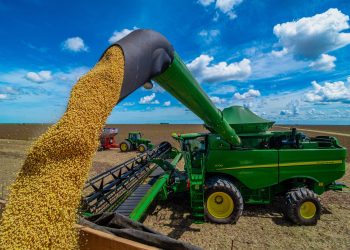 Produção de soja deve aumentar 15,4% em 2025, projeta IBGE