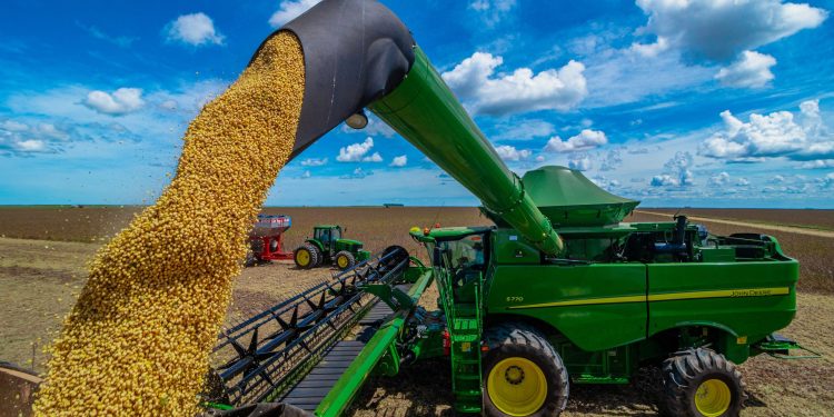 Produção de soja deve aumentar 15,4% em 2025, projeta IBGE