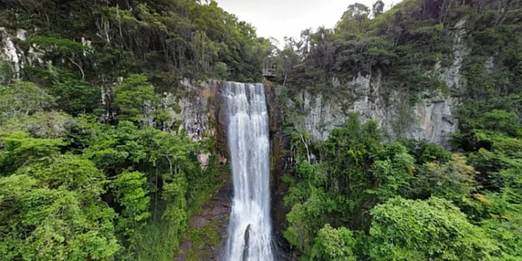 Sesc Erechim realiza primeiro Partiu Natureza do ano em Machadinho