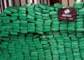Mais de 7,6 toneladas de maconha foram apreendidas nas rodovias estaduais de SC em 2024