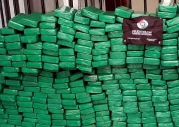 Mais de 7,6 toneladas de maconha foram apreendidas nas rodovias estaduais de SC em 2024