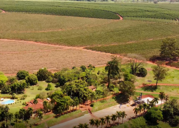 Preço das terras agrícolas teve valorização de 113% nos últimos cinco anos