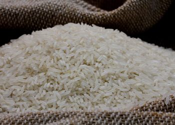 Arroz: Conab quer baixar preço ao produtor, dizem entidades que contestam dados