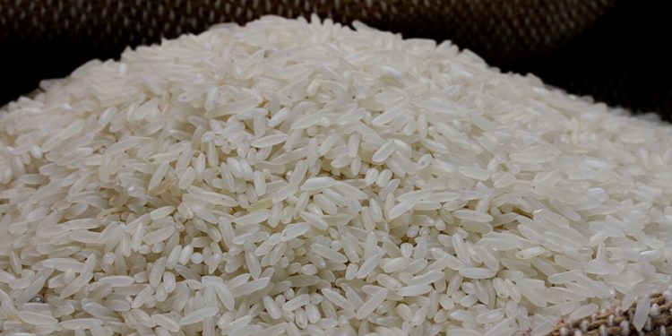 Arroz: Conab quer baixar preço ao produtor, dizem entidades que contestam dados