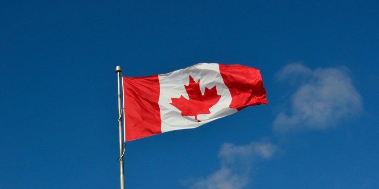 Brasil bate recorde de exportações para o Canadá; veja produtos mais vendidos