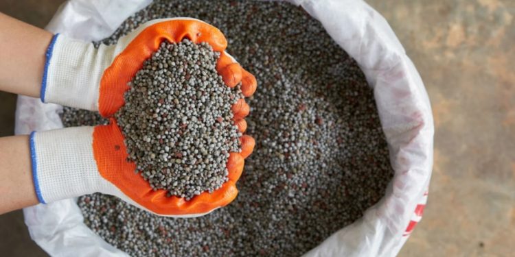 Brasil busca reduzir dependência internacional de fertilizantes ao atrair investidores globais