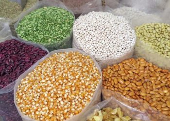 Medidas artificiais não vão reduzir preços dos alimentos, diz ex-ministro da Agricultura