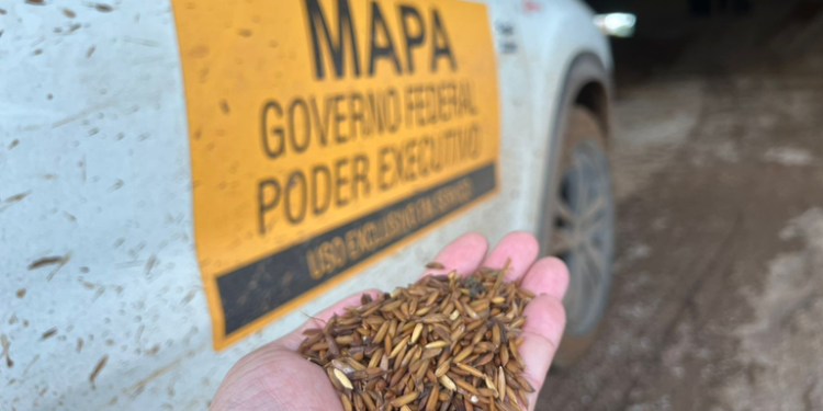 Mapa investe R$ 21 milhões para fortalecer defesa agropecuária no Rio Grande do Sul