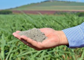 Importação de fertilizantes cresce 8,3% e bate recorde de 5 anos