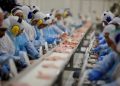 Produção agroindustrial registra alta de 2,2% em 2024, mostra FGV Agro