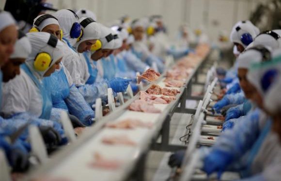 Produção agroindustrial registra alta de 2,2% em 2024, mostra FGV Agro