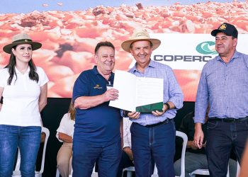 29º Show Tecnológico Copercampos inicia com grande público e lançamento de nova cultura para a região