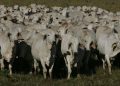 Briga tarifária entre EUA, México e Canadá preocupa consumidor de carne bovina estadunidense