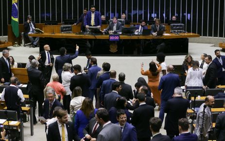 Lula Marques/ Agência Brasil Brasília (DF) 05/02/2025 Sessão da Câmara aprovou projeto que cria política de proteção e resgate de animais em desastres. Foto Lula Marques/ Agência Brasil