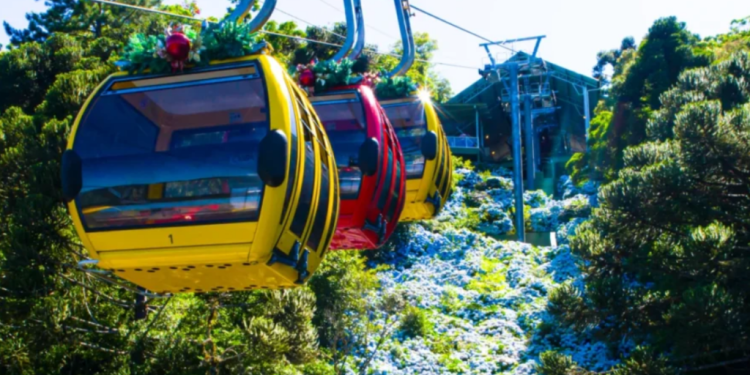Parque Bondinhos Canela inaugura Aerozuum, nova atração de aventura na Serra Gaúcha
