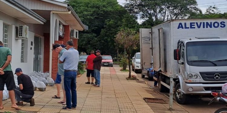 Secretaria de Agricultura realiza entrega de alevinos a produtores