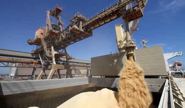 Projeção de exportação de soja ultrapassa 100 milhões em 2025