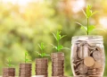 Desembolso do Plano Safra 2024/25 recua 20% e atinge R$ 245,57 bi