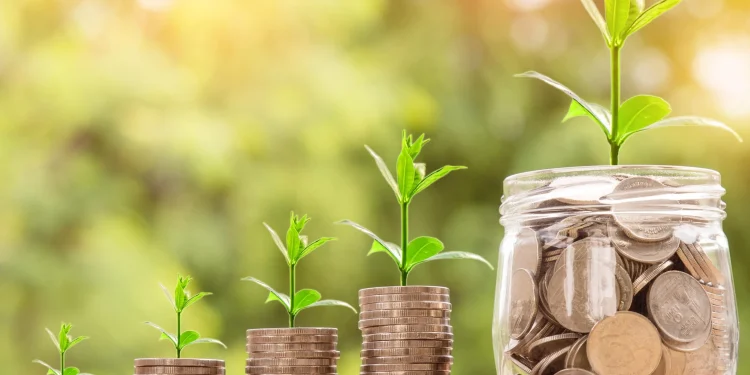 Desembolso do Plano Safra 2024/25 recua 20% e atinge R$ 245,57 bi