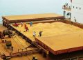 Brasil deve embarcar mais de 14 milhões de toneladas de soja