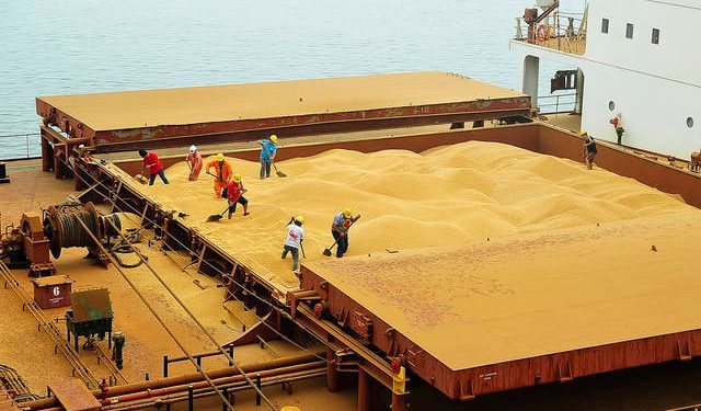 Brasil deve embarcar mais de 14 milhões de toneladas de soja