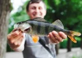 Projeto Aquicultura Brasil revoluciona a produção de pescados em 10 estados