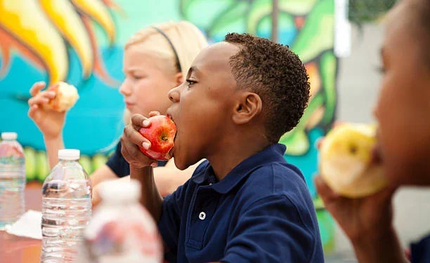 Pequeno produtor: saiba como fornecer alimentos para merenda escolar