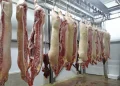 Tarifas e retaliação definirão mercado da carne suína, diz analista