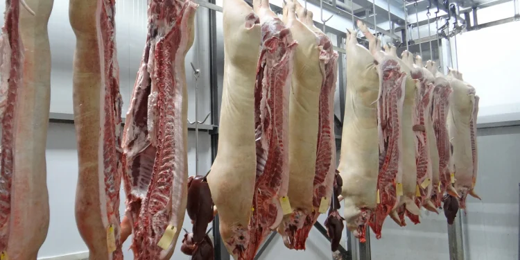 Tarifas e retaliação definirão mercado da carne suína, diz analista