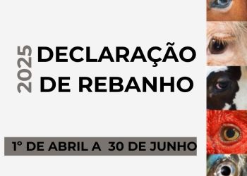 Inicia o prazo para Declaração Anual de Rebanho de 2025 no Rio Grande do Sul