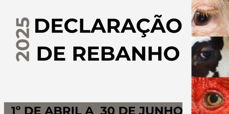 Inicia o prazo para Declaração Anual de Rebanho de 2025 no Rio Grande do Sul