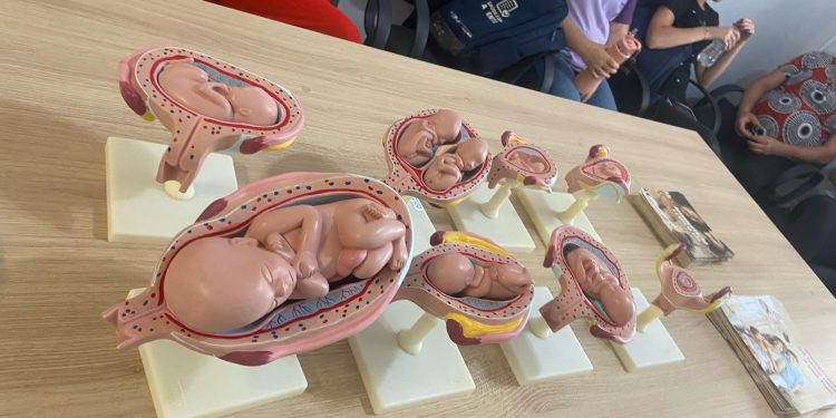 Encontro de gestantes integra futuras mamães em Paim Filho