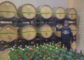 Operação apreende 54 mil litros de bebidas e fecha produção de vinagre