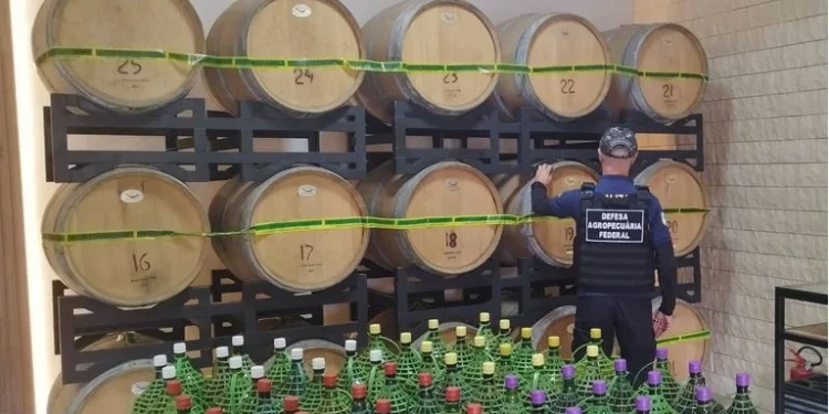 Operação apreende 54 mil litros de bebidas e fecha produção de vinagre