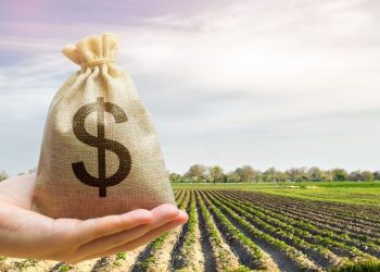 CNA propõe R$ 594 bi no Plano Safra e reformas no seguro agrícola