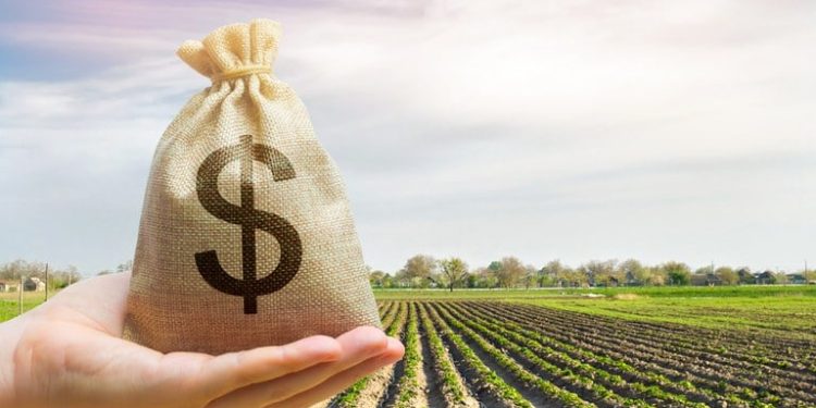 CNA propõe R$ 594 bi no Plano Safra e reformas no seguro agrícola