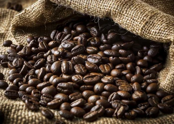 Falta de estrutura nos portos atrasa o embarque de 600 mil sacas de café