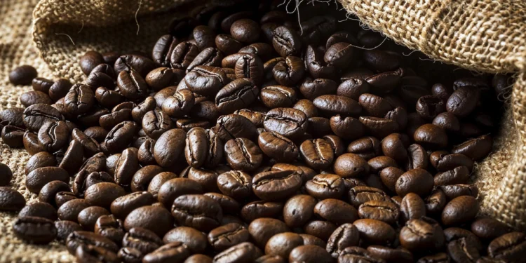 Falta de estrutura nos portos atrasa o embarque de 600 mil sacas de café