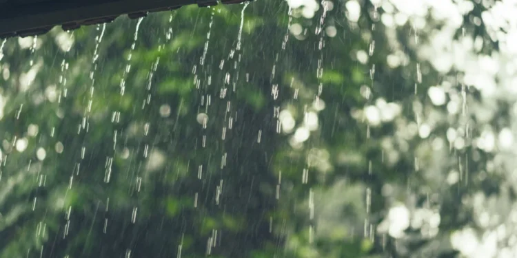 Região com seca há 2 meses deve receber 100 mm de chuva; veja quando e onde
