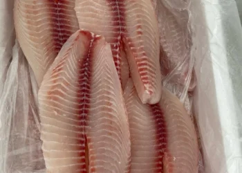 Brasil pode começar a exportar pescados para a China