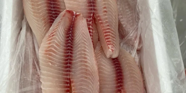 Brasil pode começar a exportar pescados para a China