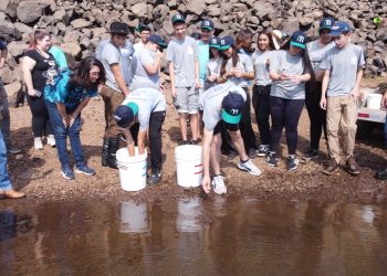Consórcio Machadinho realiza mais uma soltura de peixes