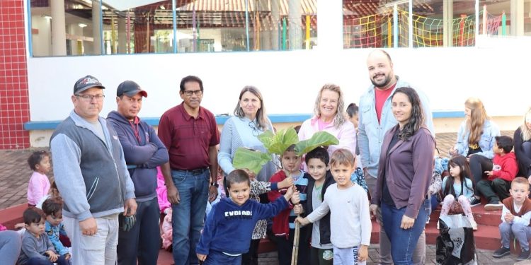 Escola realiza plantio de árvore em ação ambiental com apoio da prefeitura em Maximiliano de Almeida