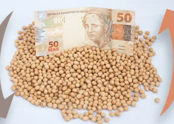 Prorrogação de dívidas dos produtores do RS é aprovada pelo governo