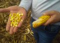 CNA aciona STF contra embargos a produtores sem direito a ampla defesa