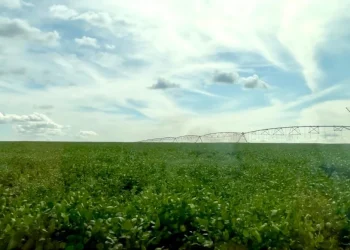 Brasil vai elaborar proposta para produzir alimentos em Angola